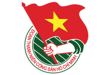 Ảnh 5